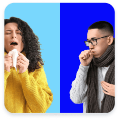 alka-seltzer-articles-resources-sinus-vs-allergies-next