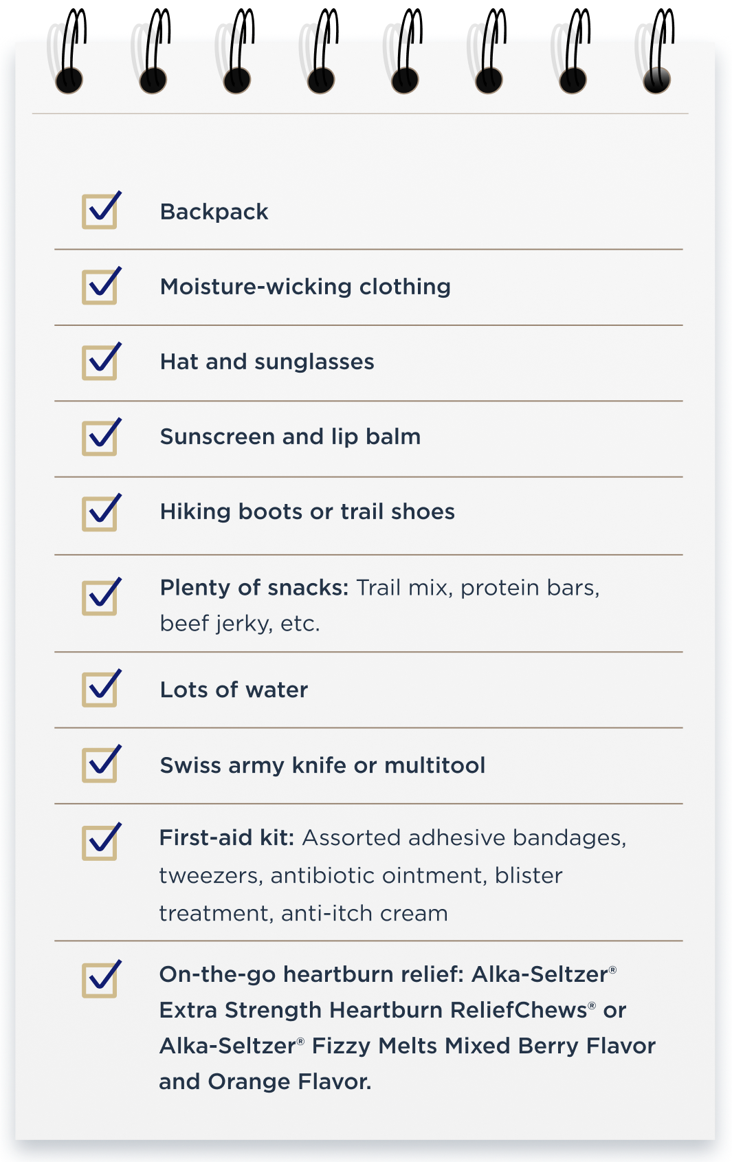 alka-seltzer-articles-thefizz-hiking-trip-notepad-desktop